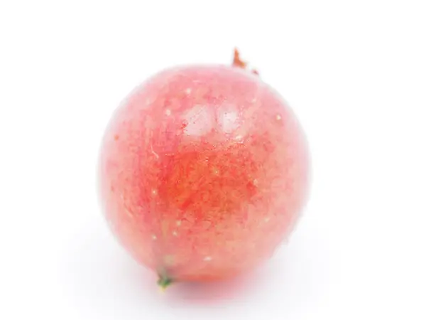 Gooseberry on a white background — Stock Photo, Image