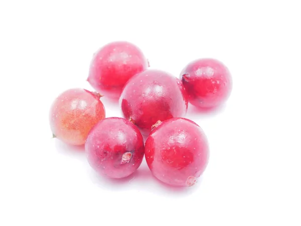 白色背景的山莓 — 图库照片