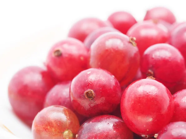 Gooseberry on a white background — Stock Photo, Image