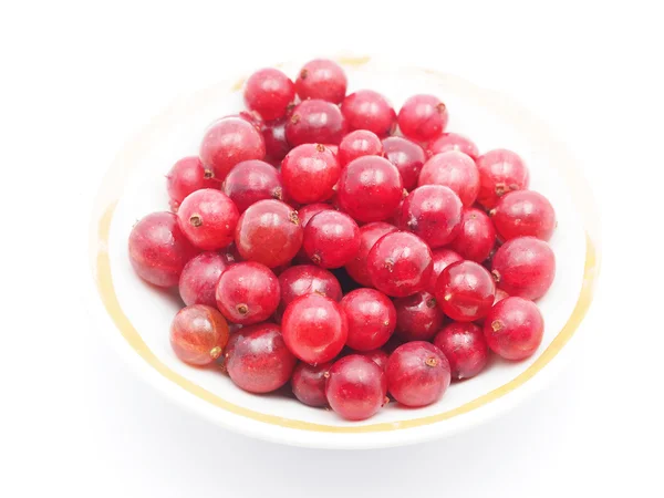白色背景的山莓 — 图库照片