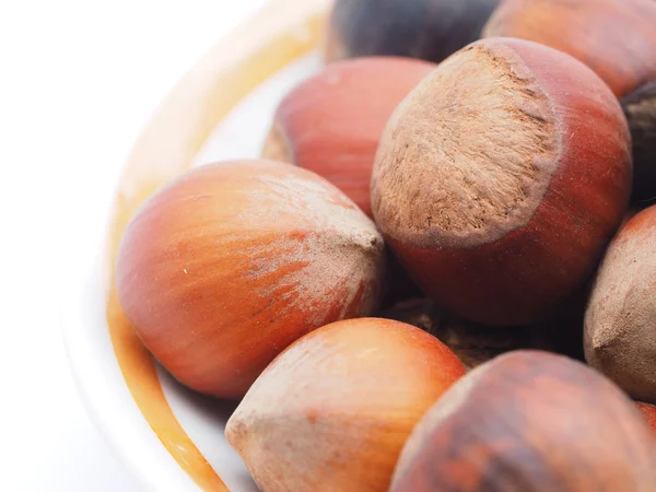 Hazelnuts on a white background — Stock Photo, Image