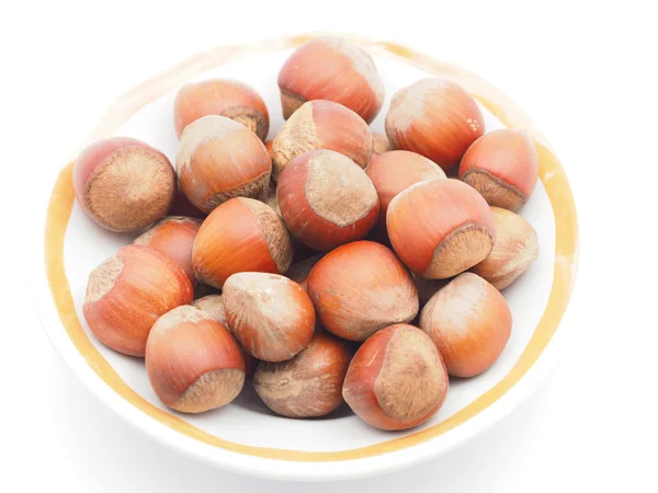 Hazelnuts on a white background — Stock Photo, Image