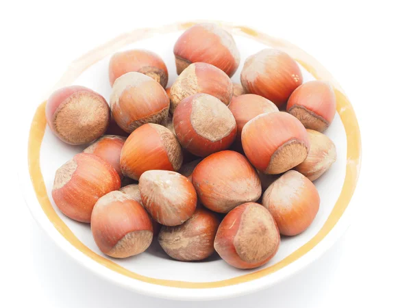 Hazelnuts на белом фоне — стоковое фото