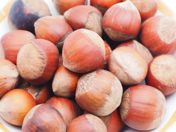 Hazelnuts на белом фоне — стоковое фото