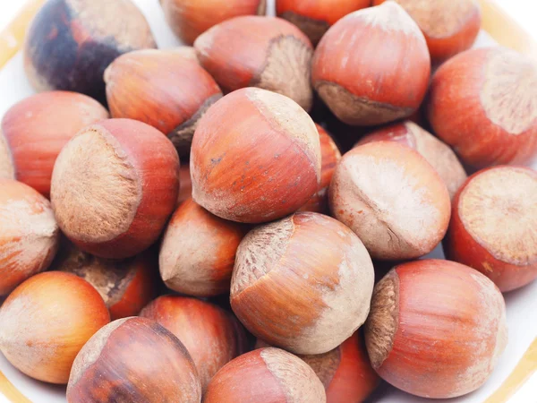 Hazelnoten op een witte achtergrond — Stockfoto