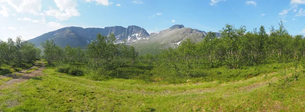 夏の山。パノラマ — ストック写真