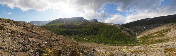 Hory v létě. Panorama — Stock fotografie