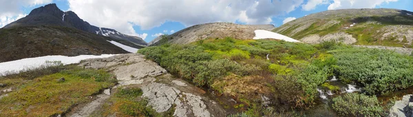 Dağlarda yaz. Panorama — Stok fotoğraf