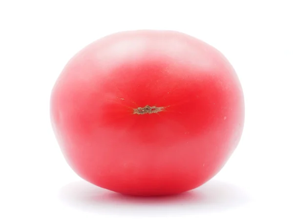Tomaatit valkoisella pohjalla — kuvapankkivalokuva