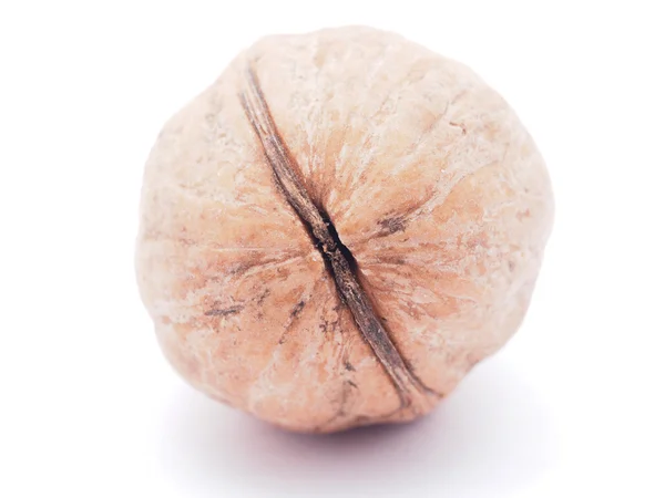 Walnut on a white background — Stock Photo, Image