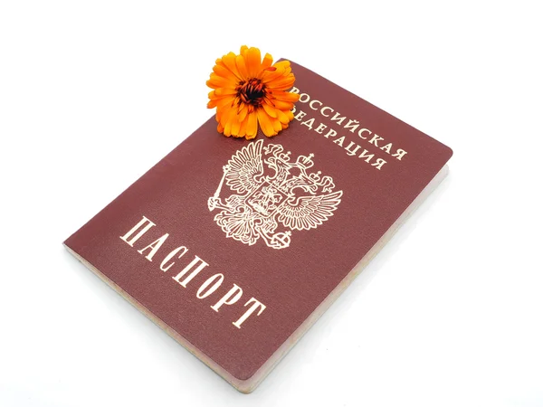 Passaporte russo e flores em um fundo branco — Fotografia de Stock