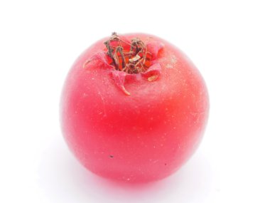 alıç çilek beyaz zemin üzerine