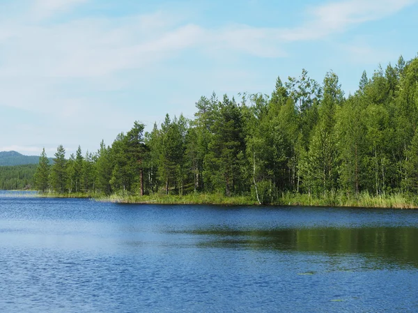 Лесное озеро. karelia — стоковое фото