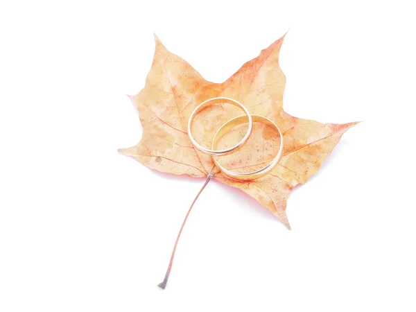 Snubní prsteny a suché javorový list na bílém pozadí — Stock fotografie