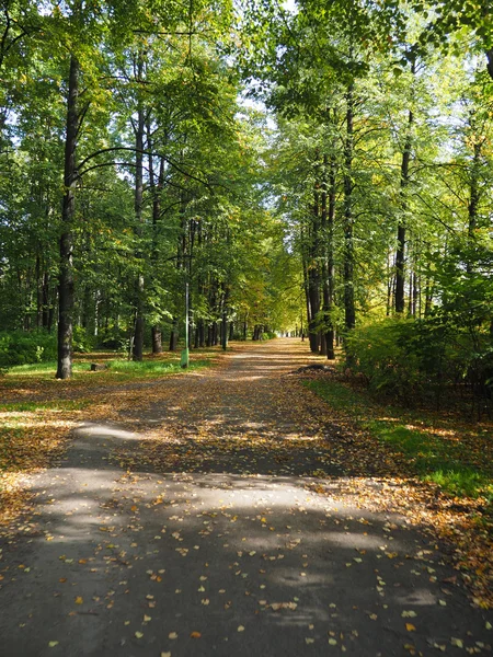 Park im Herbst — Stockfoto