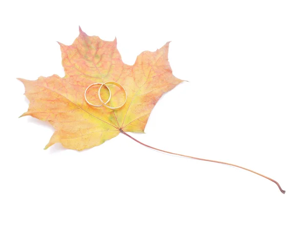 Wedding rings and dry maple leaf on a white background — Stock Photo, Image