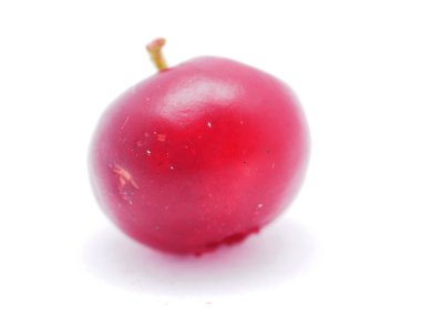 Cranberries beyaz zemin üzerine