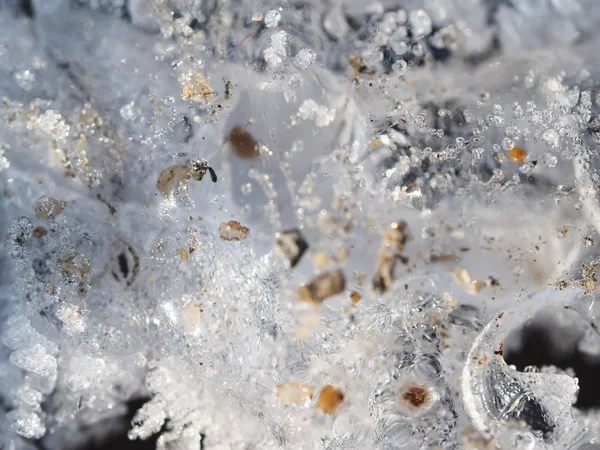 Cristales de hielo en la planta —  Fotos de Stock