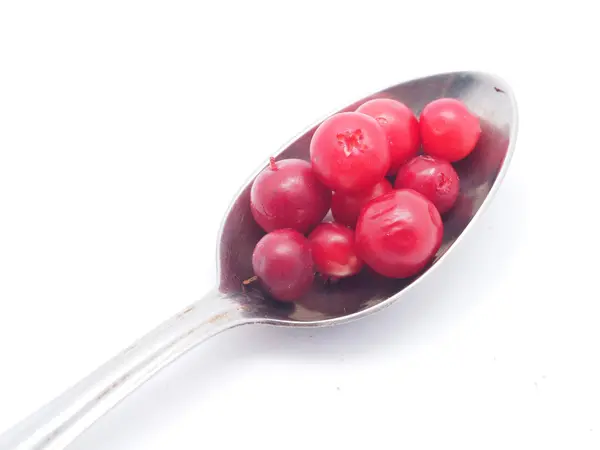 Cranberries and spoon on a white background — Stock Photo, Image