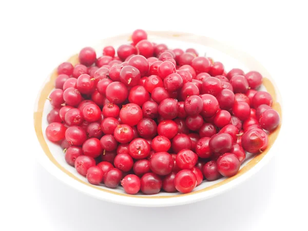 Cranberries em uma tigela em um fundo branco — Fotografia de Stock