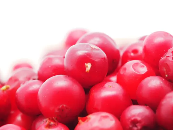 Preiselbeeren auf weißem Hintergrund — Stockfoto