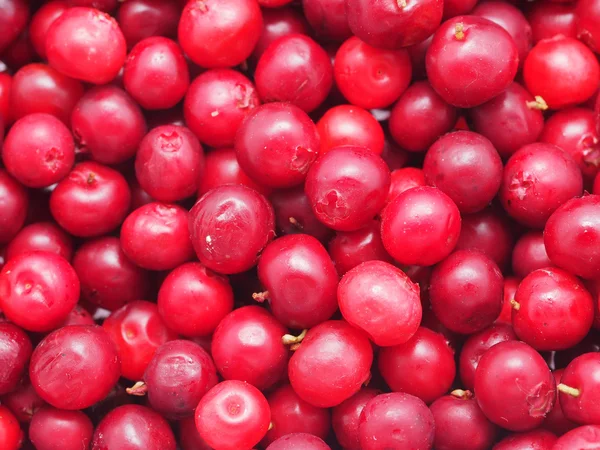 Preiselbeeren Nahaufnahme — Stockfoto