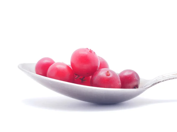 Cranberries e colher em um fundo branco — Fotografia de Stock