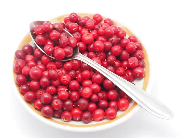 小红莓在白色背景上一碗 — 图库照片