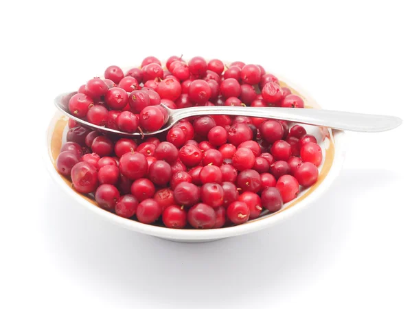 Cranberries in a bowl on a white background — Stock Photo, Image