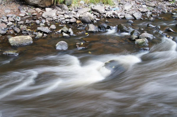 River in the forest — Stock Photo, Image