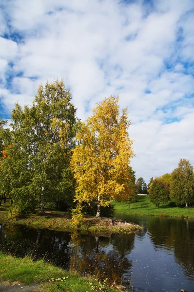 Park na podzim — Stock fotografie