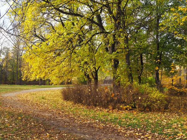 Park im Herbst — Stockfoto