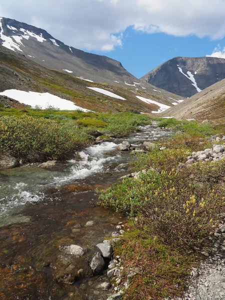 Ruisseau dans les montagnes — Photo