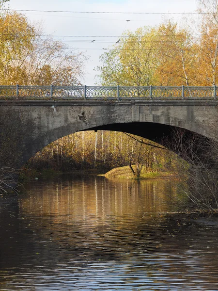 秋天过河的桥 — 图库照片