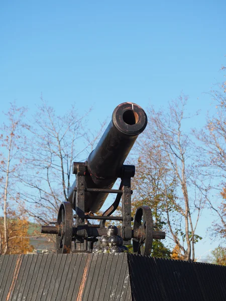 Gun in the park — Stock Photo, Image