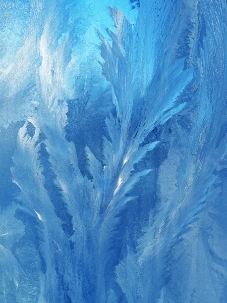 Frost patterns on glass — Stock Photo, Image