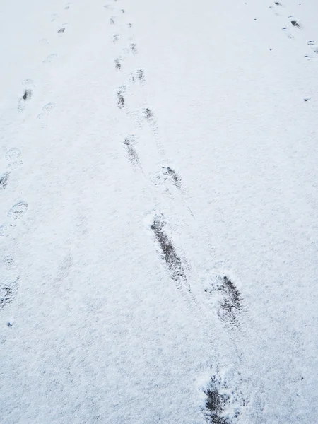 Footprints in the snow — Stock Photo, Image