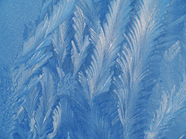 ガラスの上の霜パターン — ストック写真