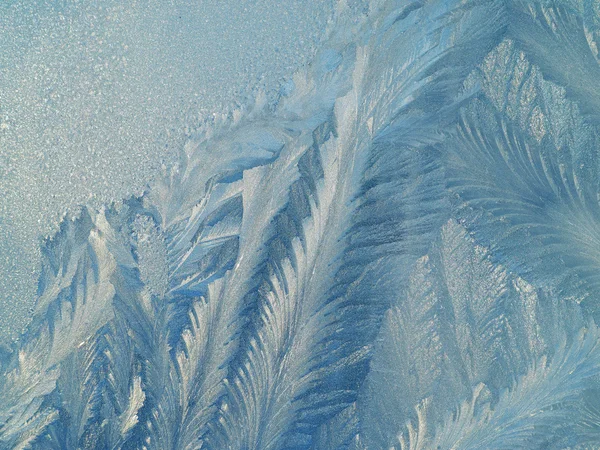 Frost patterns on glass — Stock Photo, Image