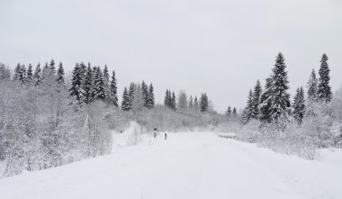 Kışın Rus Ormanı