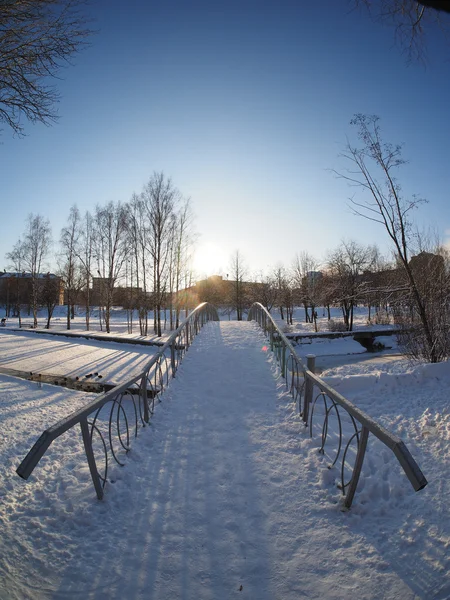 公園の橋。ペトロザヴォーツク、ロシア. — ストック写真