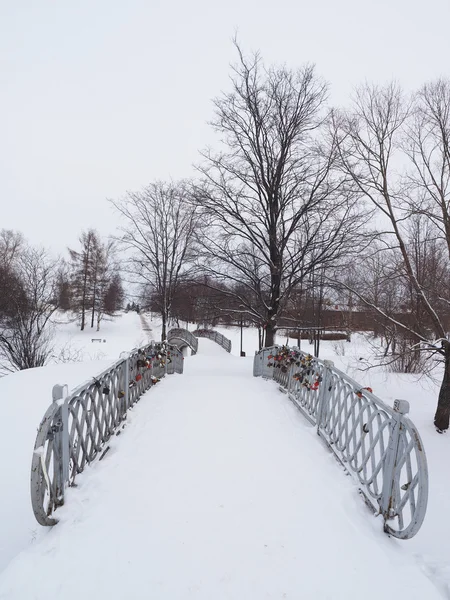 Il ponte nel parco. Petrozavodsk, Russia . — Foto Stock