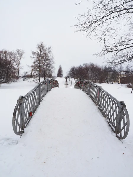 Il ponte nel parco. Petrozavodsk, Russia . — Foto Stock