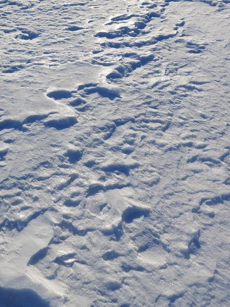 Sneeuw. achtergrond — Stockfoto