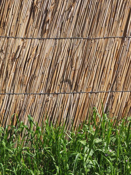Straw fence and grass. background