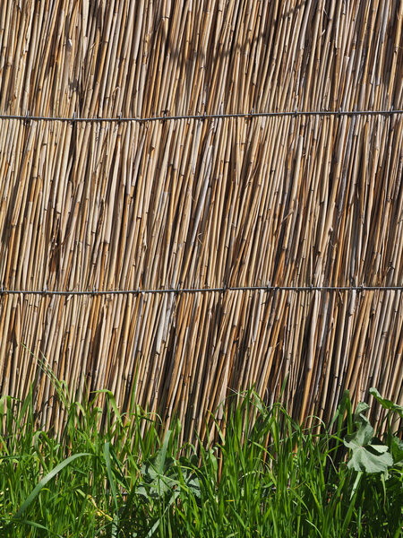 Straw fence and grass. background