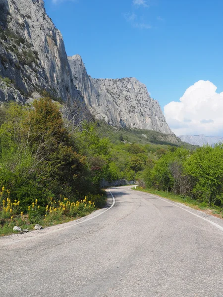 Camino de asfalto en las montañas. Crimea — Foto de Stock