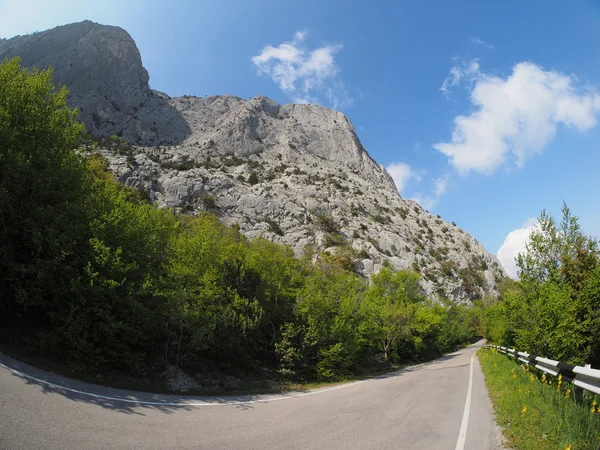 Route asphaltée dans les montagnes. Crimée — Photo