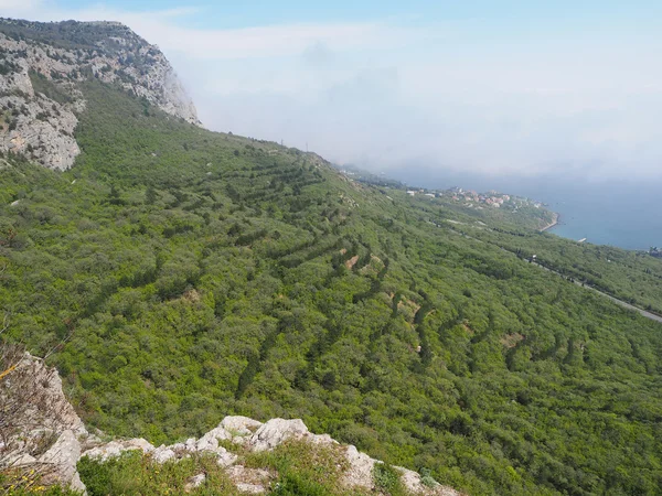 Nevoeiro nas montanhas. crimea — Fotografia de Stock