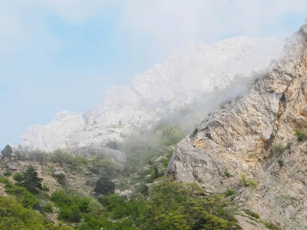 Brouillard dans les montagnes. crimée — Photo